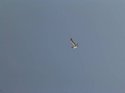 DSCN1619.jpg